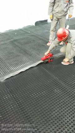 辽宁HDPE塑料排水板生产厂家供应鞍山6公分凹凸排水板