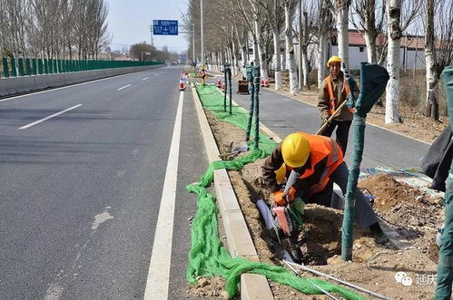 好消息 延庆这条路开装路灯,预计6月底投用