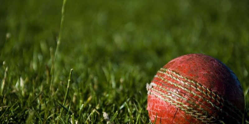 世界杯预选赛结束后各洲足联代表与足球合影